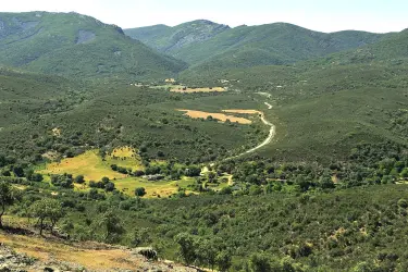 Montes de socios. ¿Una nueva desamortización?